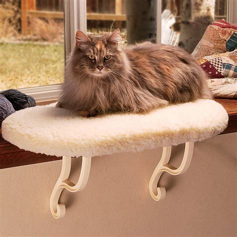 Best Cat Bed Reviews 2022 The Sleep Judge