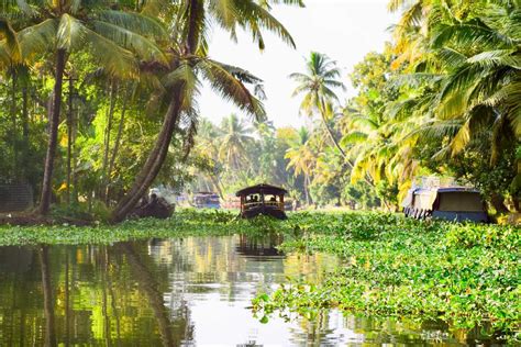What Is Kerala Famous For Top 20 Places And Things To Know