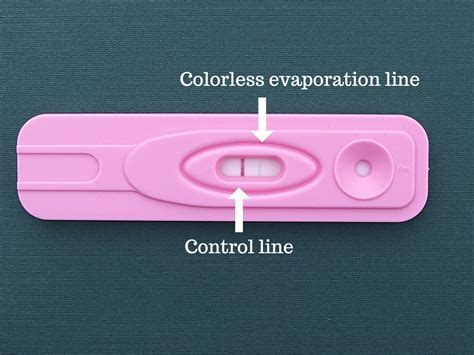 Faint Line On Pregnancy Test What Does It Mean