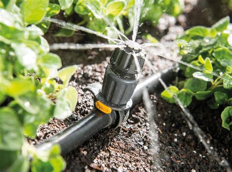 The Best Options For Automatic Plant Watering System