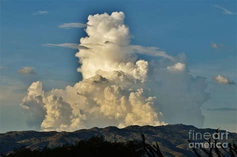 Billowing Cloud Bliss Photograph By Janet Marie Fine Art America
