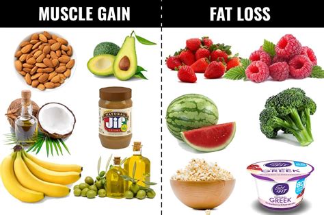 Exercise and diet work together to create a healthy body. Foods Which Can Help You Lose Fat And Gain Muscles - My ...
