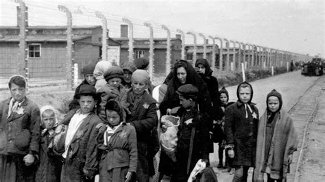 El álbum De Auschwitz De Camino A Las Cámaras De Gas