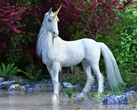 10 Spellbinding Facts On Unicorns You Had No Idea About Daily Story