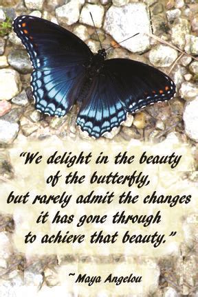 The wisdom and spirit of maya angelou, p.71, random house 621 copy quote we delight in the beauty of the butterfly, but rarely admit the changes it has gone through to achieve that beauty. Maya Angelou! I just love her brain & her soul. *sigh* | Butterfly quotes, Wise words quotes ...