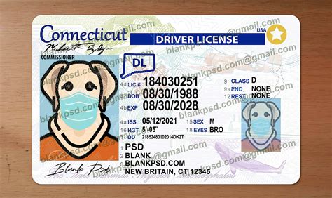 Connecticut Drivers License Template New V2 Blank Psd