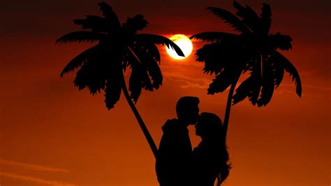 Download Wallpaper 2560x1440 Silhouettes Couple Hug Palm Night