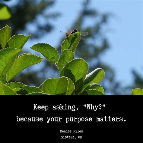 Keep Asking Why Because Your Purpose Matters Denise Pyles
