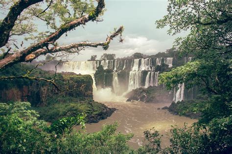 Best Time To See Misiones Jungle In Argentina 2023 Roveme