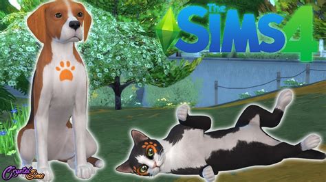 Review Los Sims 4 Perros Y Gatos Crystalsims Youtube