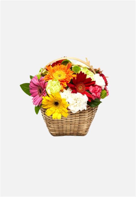 Joy Basket The Flower Scene Hermanus