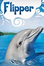 Flipper (1964–1967) | Dive into a world full of wonder with the King of ...