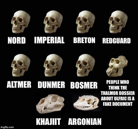 Different Skulls Meme Plague Doctor Masks Based Off Of Different Birds