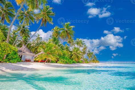 Beautiful Tropical Beach With White Sand Palm Trees Turquoise Ocean