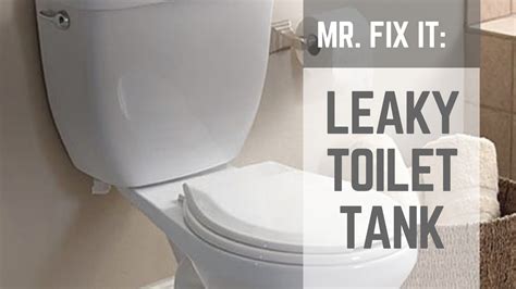 How To Fix A Leaking Toilet