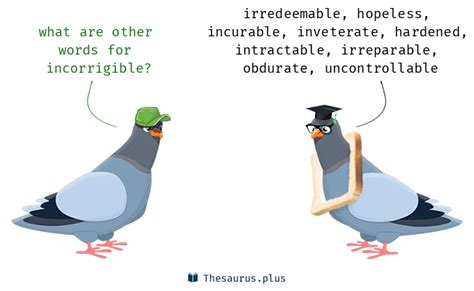 More 650 Incorrigible Synonyms Similar Words For Incorrigible