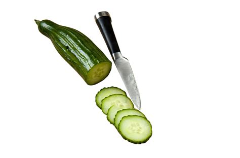 Cucumber in slices PNG Image - PurePNG | Free transparent CC0 PNG Image png image