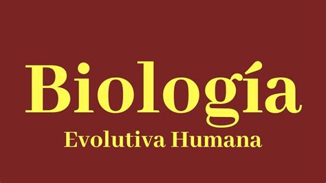 TeÓrico De BiologÍa Clase V Catedra B EpigenÉtica Youtube