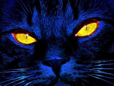 57 Best Fractal Cats Images On Pinterest Fractal Art Fractal Images And Fractals