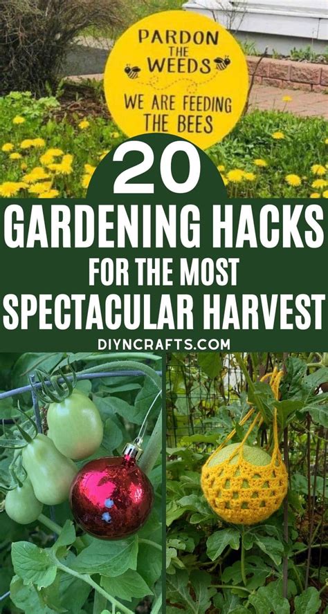 20 best gardening hacks for a spectacular harvest tasteandcraze