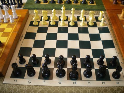 Then do the same for black, but on the other side of the board, following the same instructions. Chess