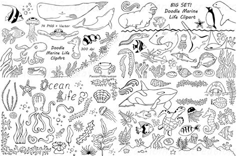 Big Set Of Doodle Marine Life Clipart Sea Life Clip Art Art Drawings