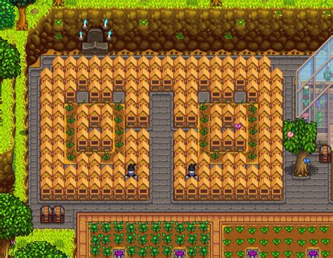 Top Stardew Valley Best Honey Layouts That Are Excellent GAMERS DECIDE