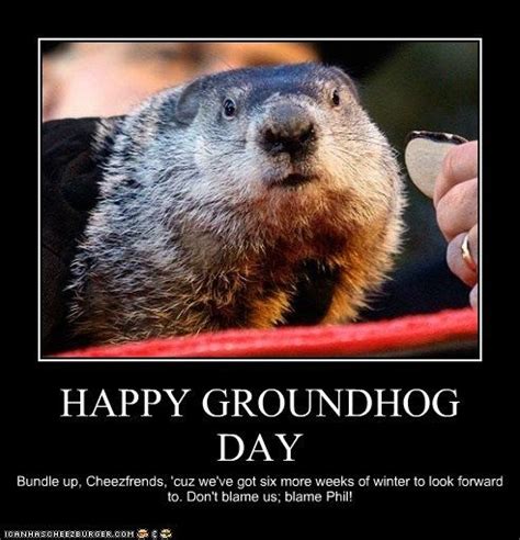 Groundhog Memes Funny Pictures Happy Groundhog Day Happy Groundhog Day