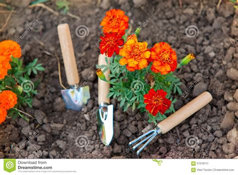 Gardening Tools Stock Image Image Of Flowers Garden