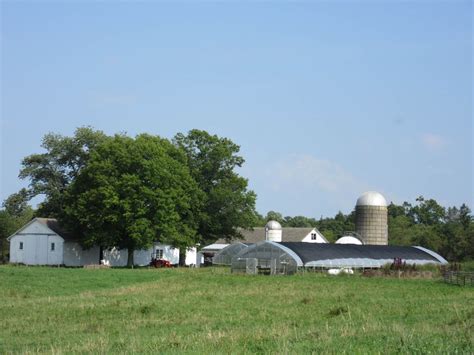 Home Lundale Farm
