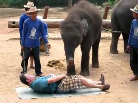 Elephant Massage Mp Youtube