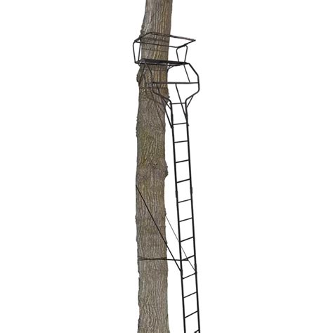 Big Game Guardian Xlt 18 Foot Hunting Lightweight 2 Person Ladder Tree