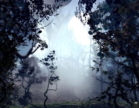 Wallpaper Trees Fog Art Forest Hd Widescreen High Definition