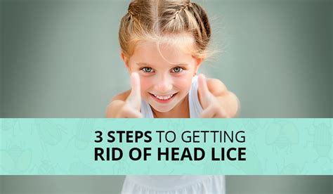 3 Steps To Getting Rid Of Head Lice Lice Master