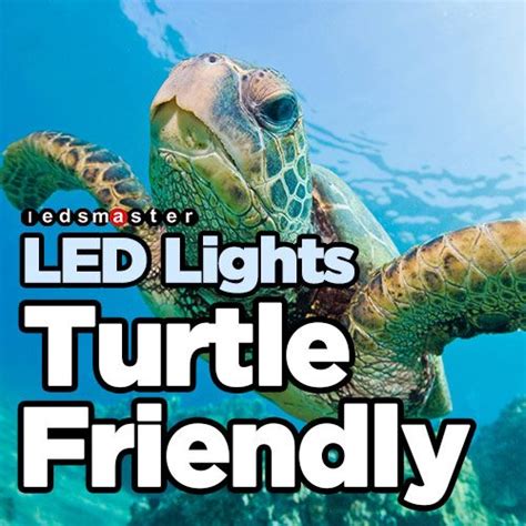 Turtle Friendly Lighting Amber Coastal Lights