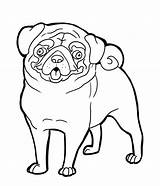 Pug Coloring sketch template
