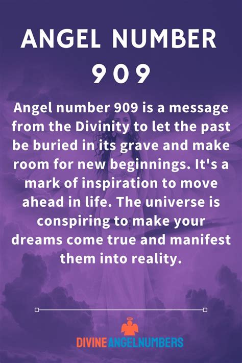 909 Meaning Mokasinmonsters