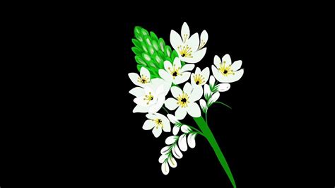 Check spelling or type a new query. Decorative Digital Painting 91- Star of Bethlehem Flowers ...