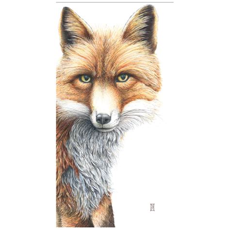 Wild Grey Fox Greeting Card Mrs Fox Grace