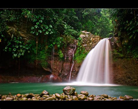 42 Tropical Waterfalls Wallpaper On Wallpapersafari