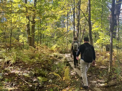 Vermont Fall Foliage Hiking Tour Timberline Adventures