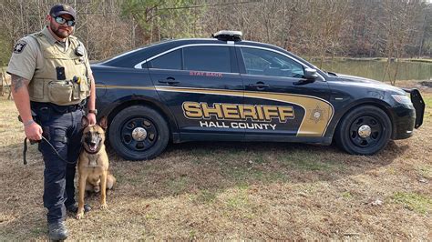 Meet The Latest K 9 Team For The Hall County Sheriffs Office Gainesville Times