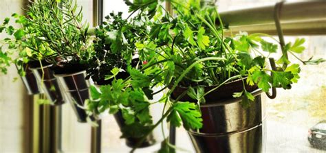 Diy Window Herb Garden From Ikea Pots Urban Gardens