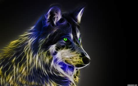 10 Top Cool Animal Wallpapers Wolf Full Hd 1920×1080 For Pc Desktop 2023