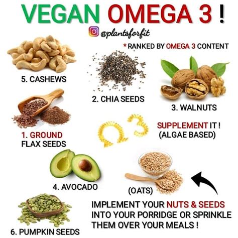 Omega 3 is an essential fatty acid plant foods do not contain epa or dha, except for some seaweed, but in very low amounts. HEALTH ADVICE | FITNESS TIPS on Instagram: "⏩ WHAT ARE ...