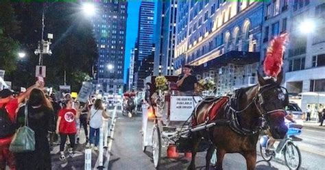 Union Responds To Calls To Ban Horse Drawn Carriages In Nyc