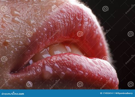 Wet Red Lips Stock Images Image