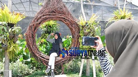 Kini berbagai perbaikan, penyempurnaan, dan penambahan fasilitas telah dilakukan oleh kebun binatang surabaya. 19 Spot Foto di Surabaya Rekomendasi Terhits dan Terbaru • Sewa Mobil Vip
