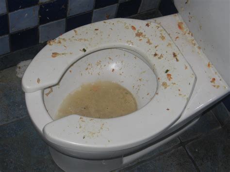 Vomit Filled Toilet At All You Can Eat Why Was There Vomit Flickr