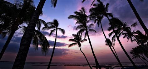 Mauna Lani Is The Perfect Destination For A Romantic Honeymoon Or